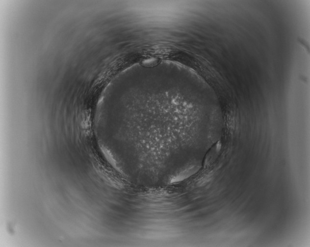 X0000100420818200806201820