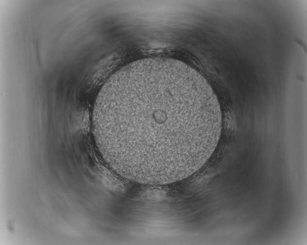 X0000100420820200806201820