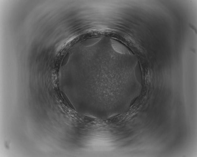X0000100420822200806201820