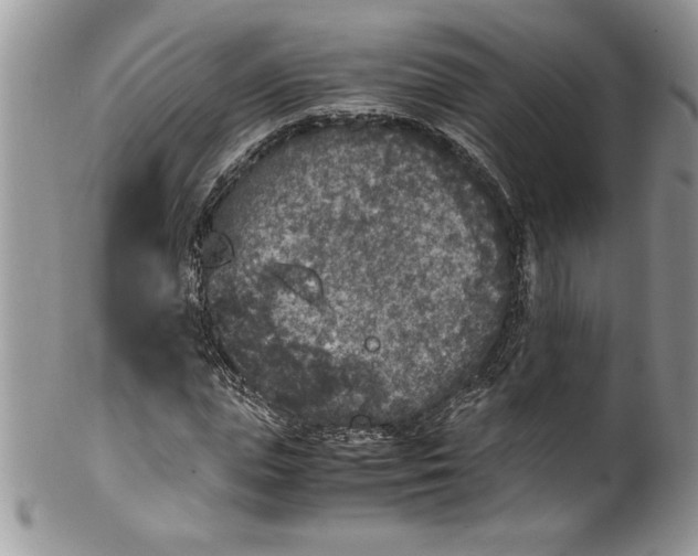 X0000100420823200806201820