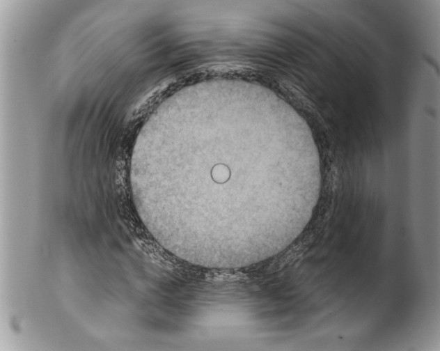 X0000100420824200806201820