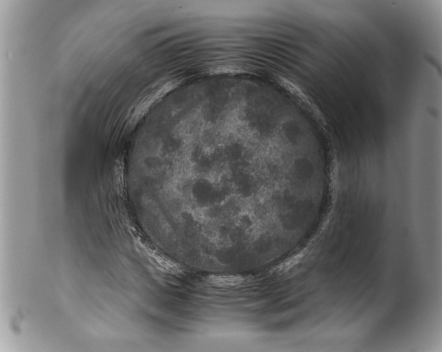 X0000100420825200806201820