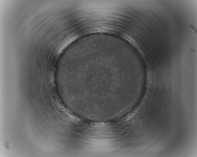 X0000100420826200806201820