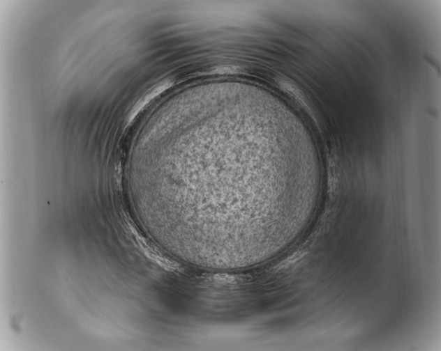 X0000100420827200806201820
