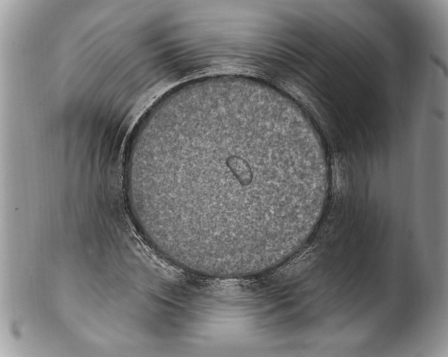 X0000100420828200806201820