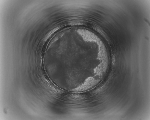 X0000100420829200806201821