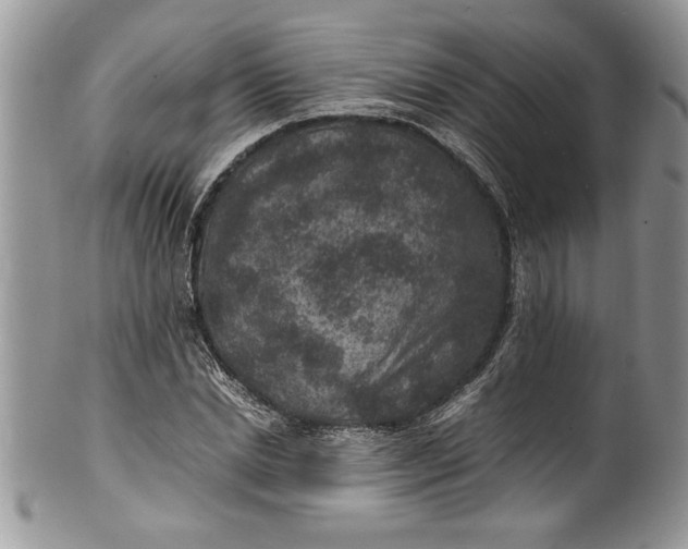 X0000100420830200806201821
