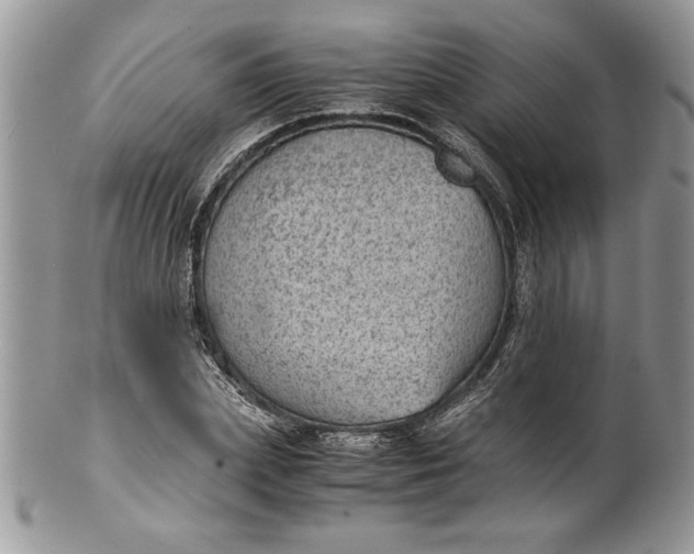 X0000100420831200806201821