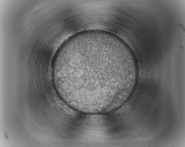 X0000100420832200806201821