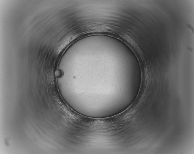 X0000100420834200806201821