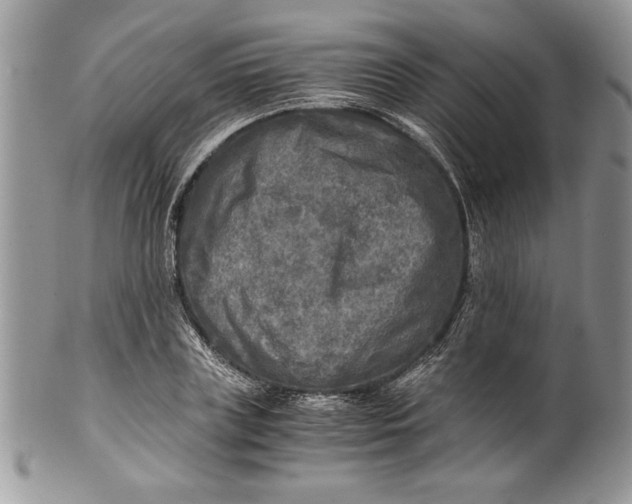 X0000100420835200806201821