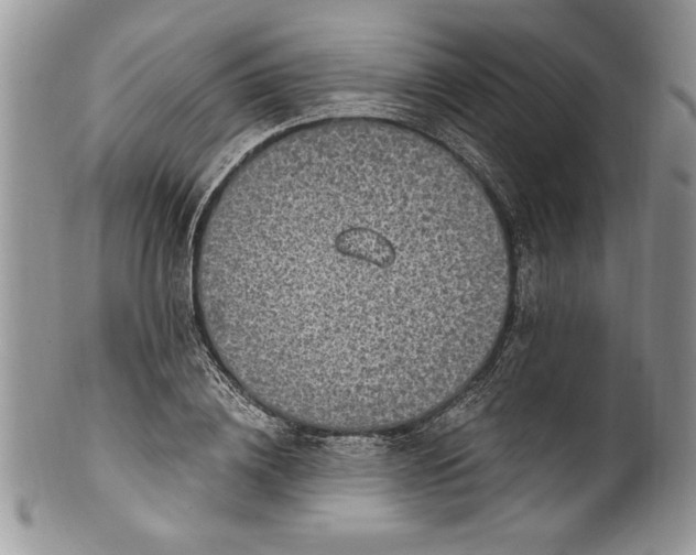 X0000100420836200806201821