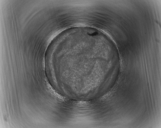 X0000100420839200806201821