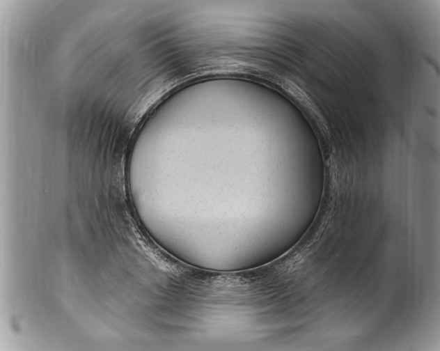 X0000100420842200806201821