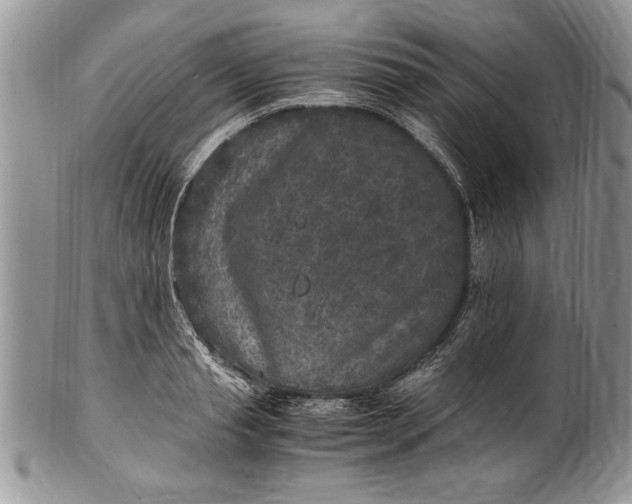 X0000100420845200806201821