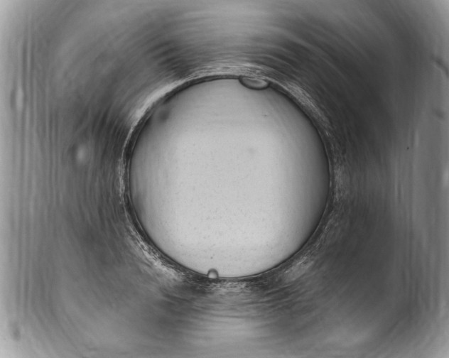 X0000100420846200806201821