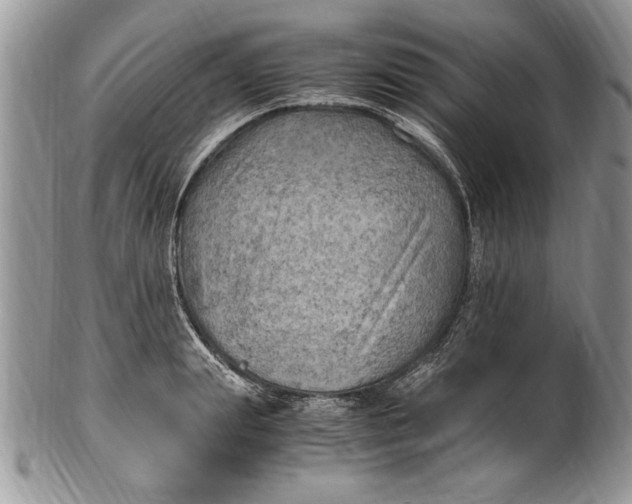 X0000100420847200806201821