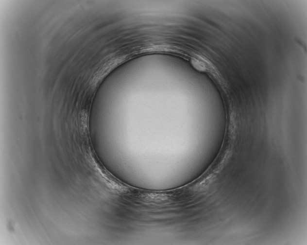 X0000100420849200806201821