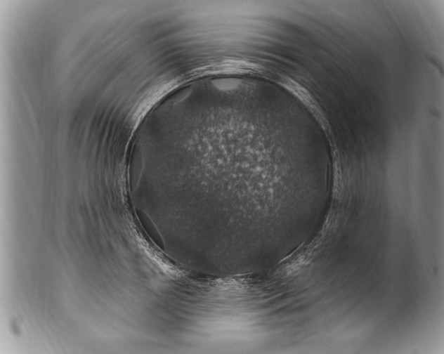 X0000100420850200806201821