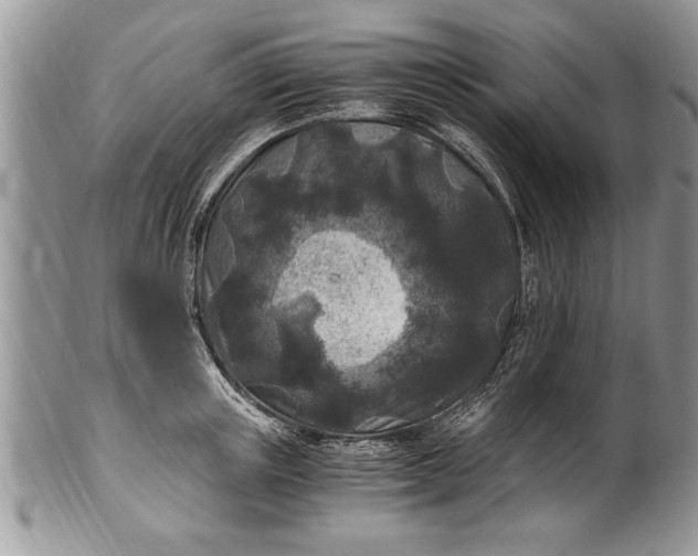 X0000100420851200806201821