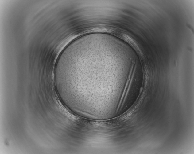 X0000100420852200806201821
