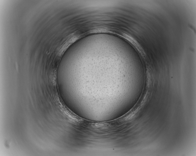 X0000100420857200806201821