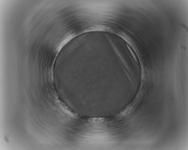 X0000100420858200806201821
