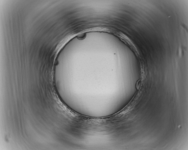 X0000100420860200806201821