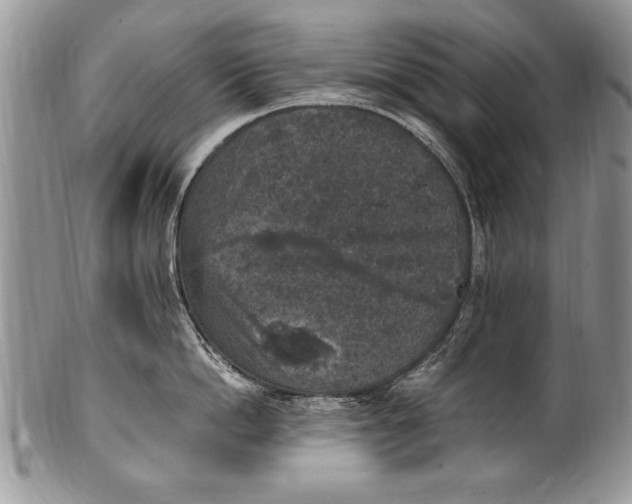 X0000100420862200806201821