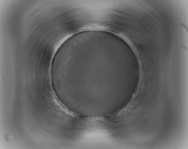 X0000100420864200806201821
