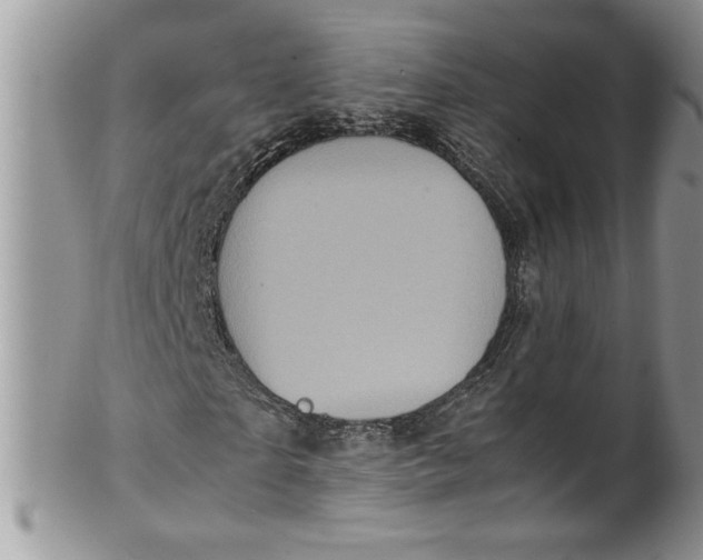 X0000100420865200806201820