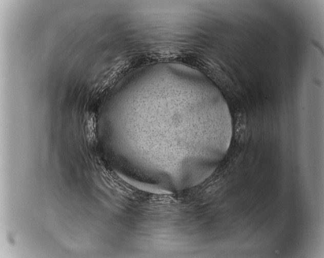 X0000100420866200806201820