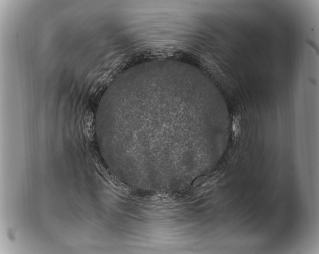 X0000100420867200806201820