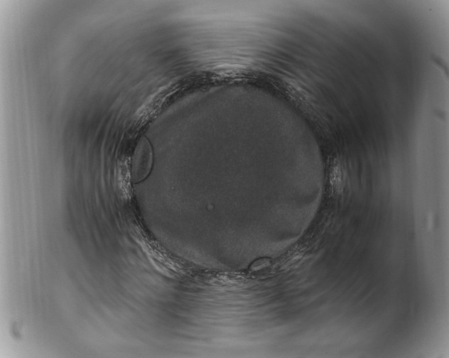 X0000100420868200806201820