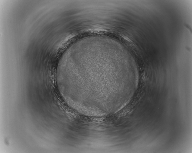 X0000100420870200806201820