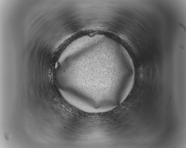 X0000100420872200806201820