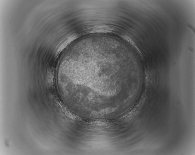 X0000100420874200806201820
