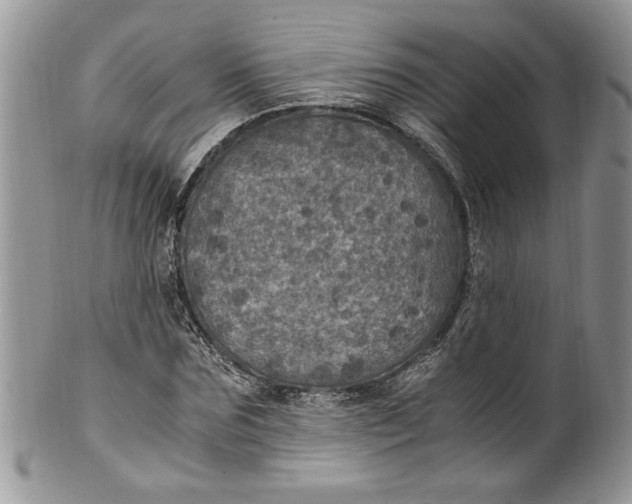 X0000100420875200806201820