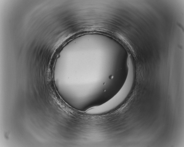 X0000100420876200806201820