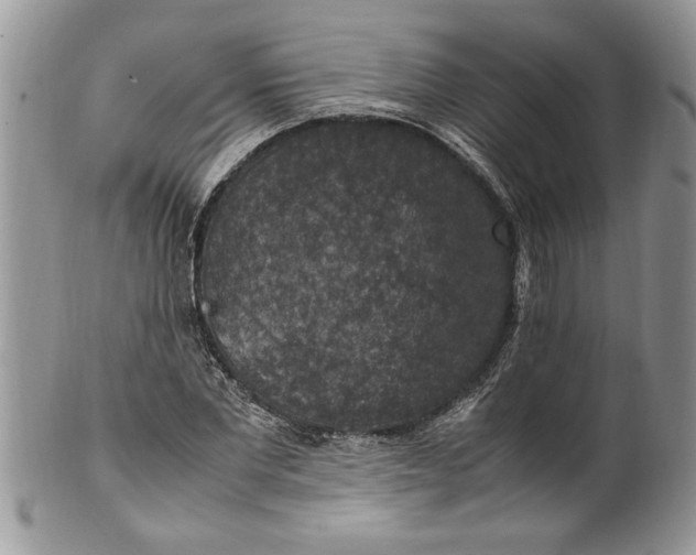 X0000100420877200806201820