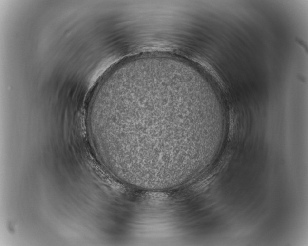 X0000100420878200806201820
