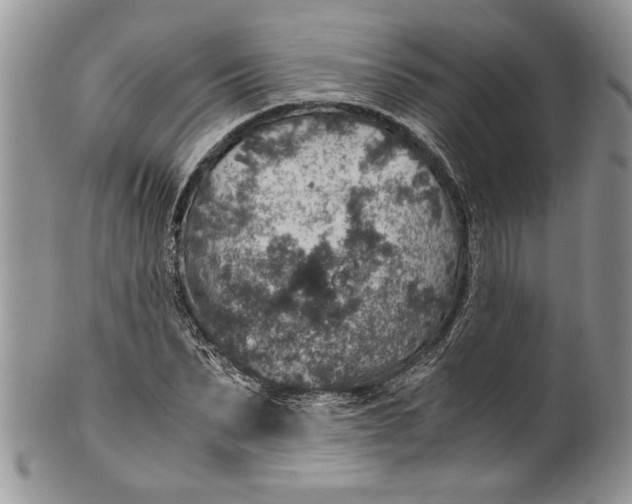 X0000100420879200806201820