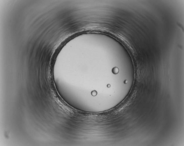 X0000100420880200806201820
