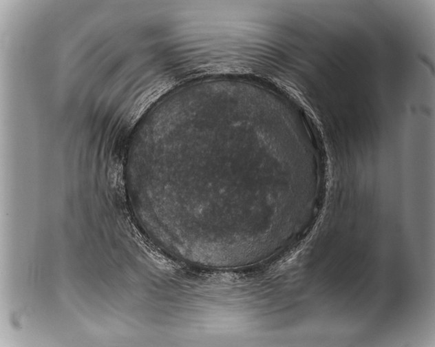 X0000100420881200806201820