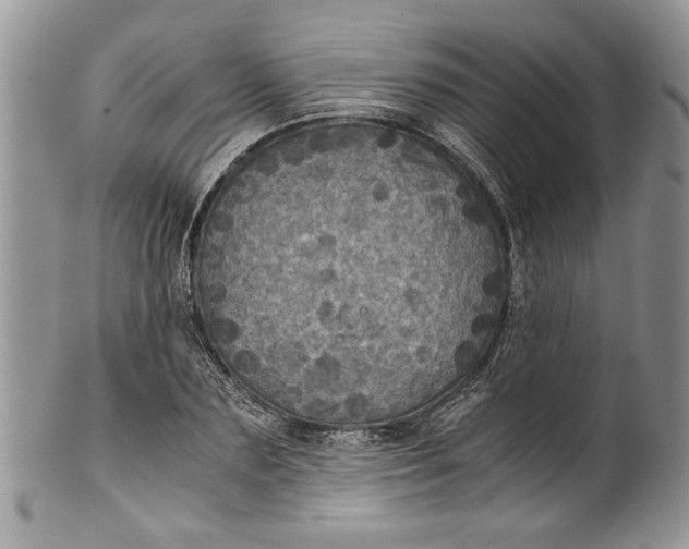 X0000100420883200806201820
