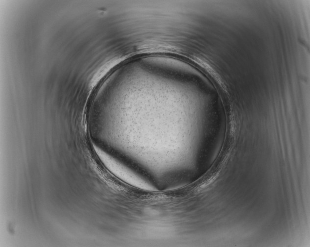 X0000100420885200806201820