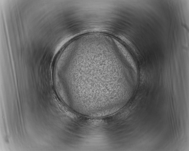 X0000100420886200806201820