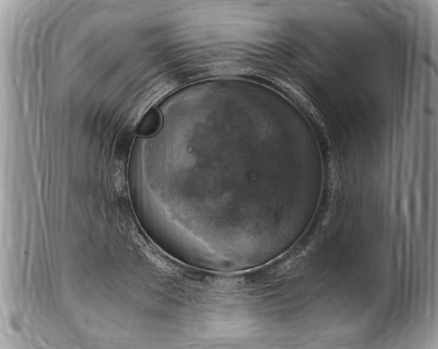 X0000100420889200806201820