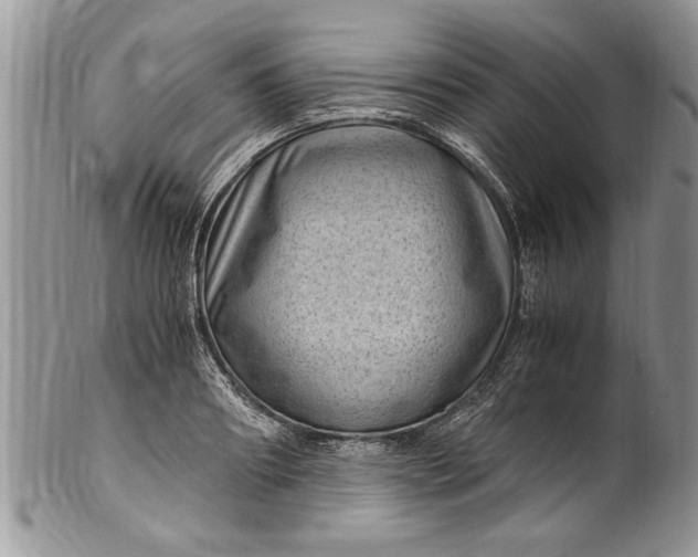 X0000100420890200806201820