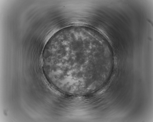 X0000100420891200806201820
